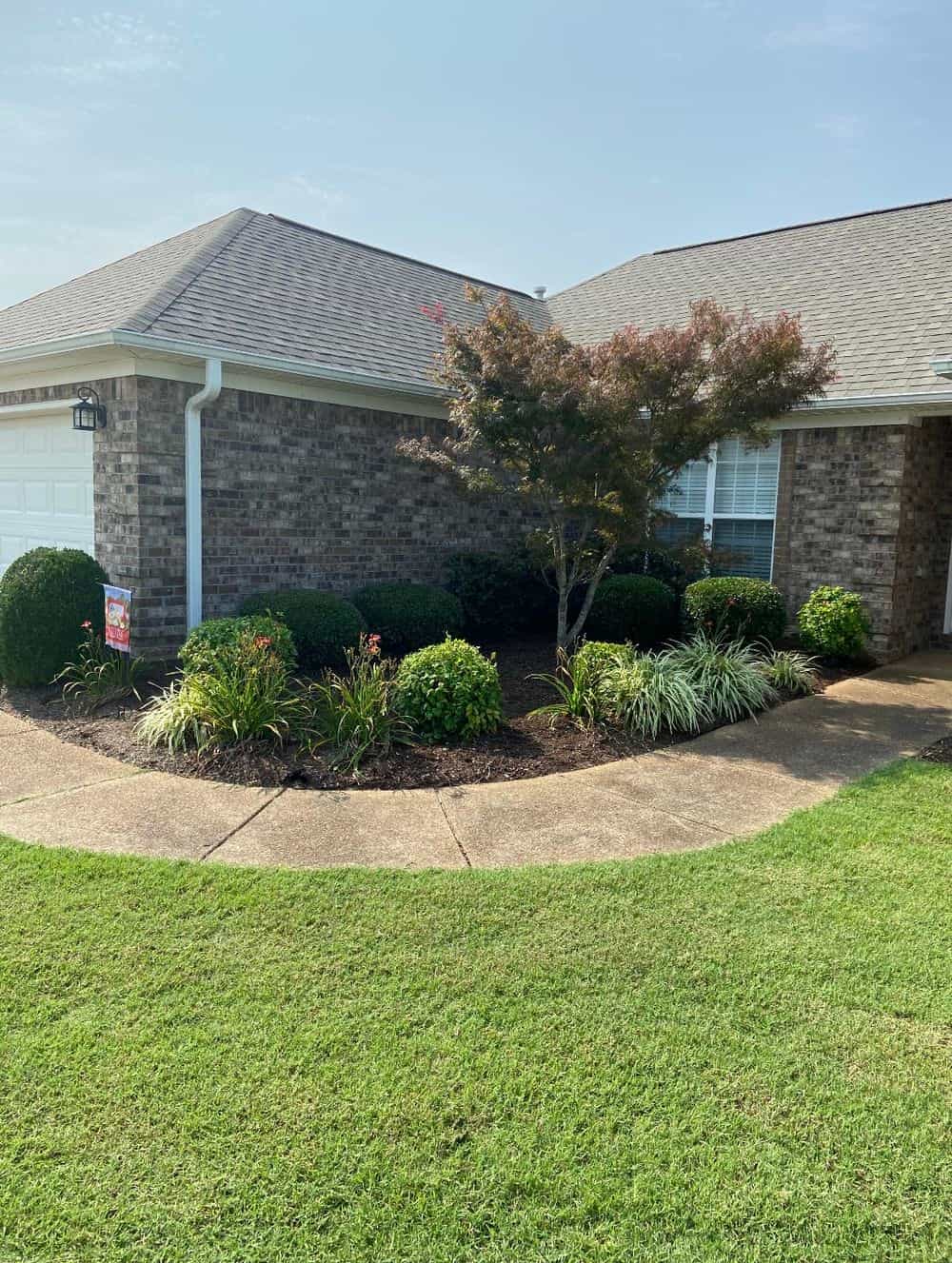 Hero image for Cook's Lawn Care